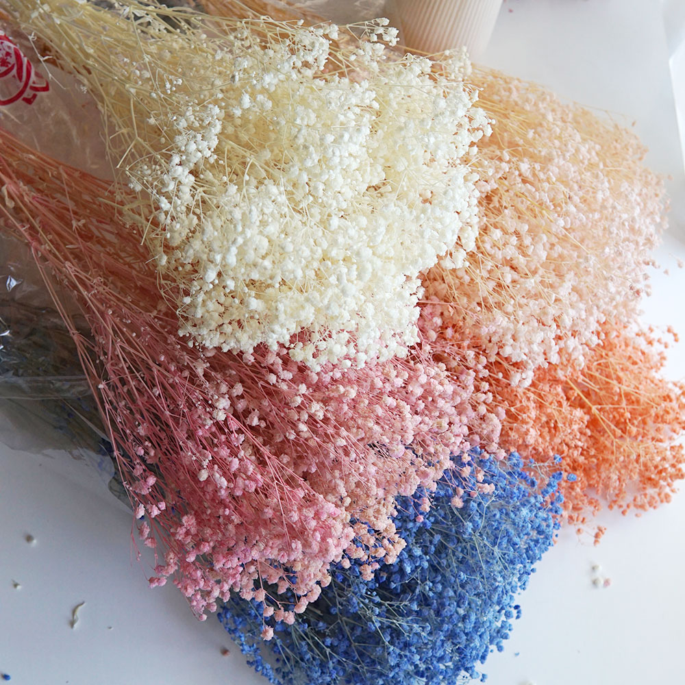 Home Office Bleaching - 50g/Renkli Doğal Korunmuş Kurutulmuş Babysbreath Gypsophila
